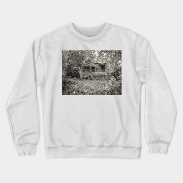 Vanishing Crewneck Sweatshirt by PaulLu